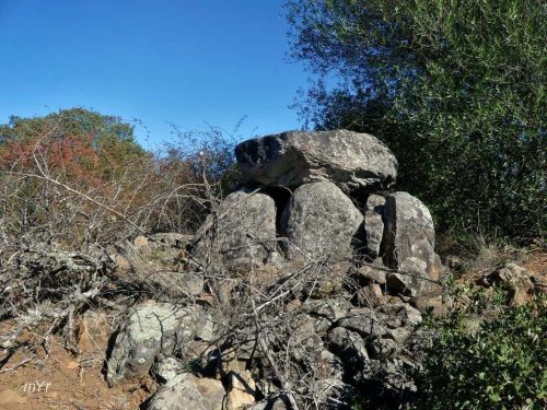 Anta da Almanhares 5 Alter do Chão Portalegre Alentejo
