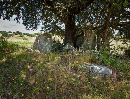 Anta da Areeiro Ervedal Avis Portalegre Alentejo