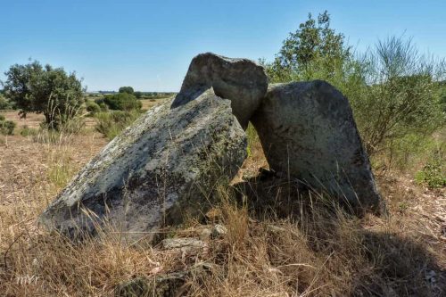 Anta da Casa Nova Gafete Crato Portalegre Alentejo