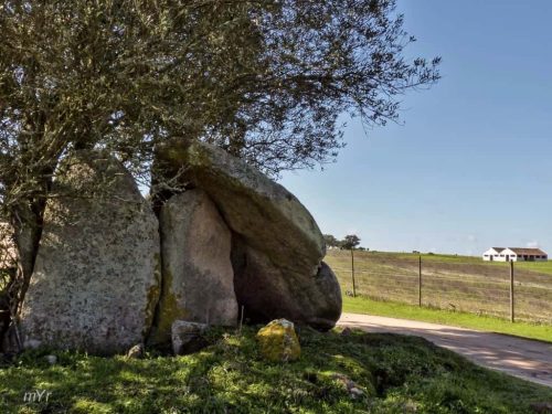 Anta da Cré 3 Pavia Mora Évora Alentejo