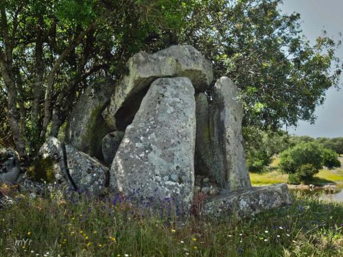 Anta da Cumeada 1 Benavila e Valongo  Avis Portalegre Alentejo