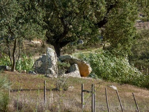 Anta da Figueirinhas 3 Pavia Mora Évora Alentejo