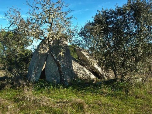 Anta da Herdade Grande 2 São Saturnino Fronteira Portalegre Alentejo