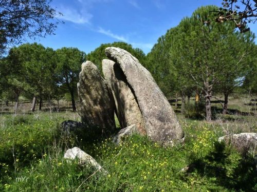 Anta da Herdade Grande 5 São Saturnino Fronteira Portalegre Alentejo