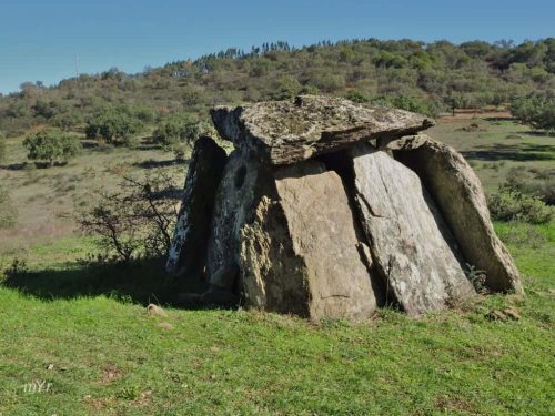 Anta da Herdade da Candieira Redondo  Redondo Évora Alentejo