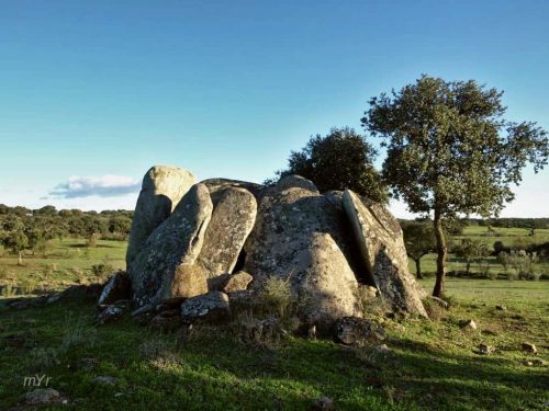 Anta da Herdade das Casas Novas  F1 Redondo Évora Alentejo
