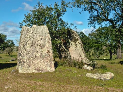 Anta da Herdade de Prates 2 Pavia Mora Évora Alentejo