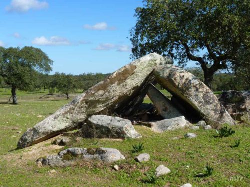 Anta da Herdade de Prates 3 Pavia Mora Évora Alentejo