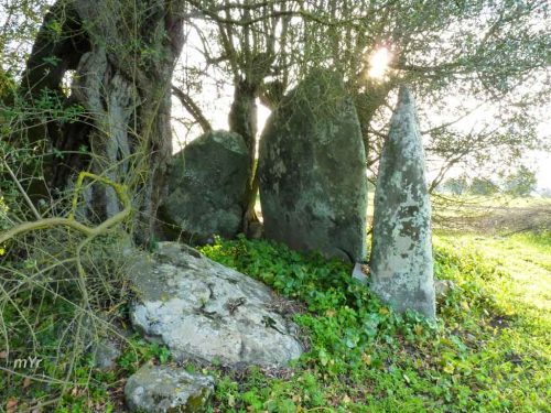 Anta-da-Herdade-do-Zambujalinho-2-São-Miguel-de-Machede Évora Alentejo