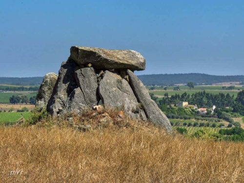 Anta da Herdade dos Tourais Nossa Senhora da Vila Montemor o Novo Évora Alentejo