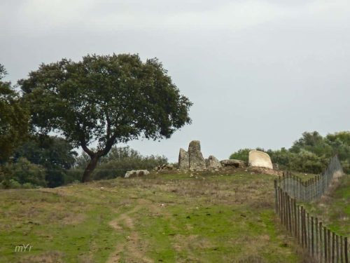 Anta da Lameiras 5 Figueira e Barros Avis Portalegre Alentejo