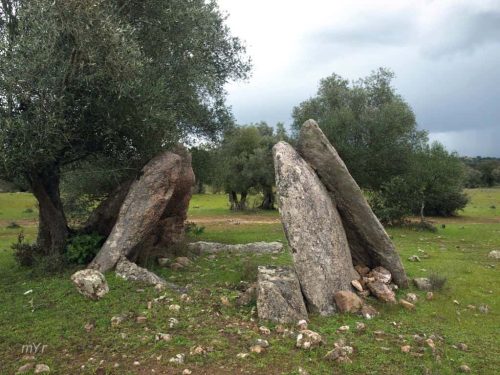 Anta da Lapeira 2 Pavia Mora Évora Alentejo