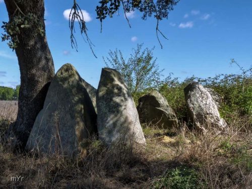 Anta de Pavia  Capela de São Dinis Pavia Mora Évora Alentejo