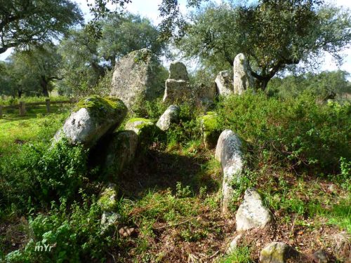 Anta-da-Murteira-de-Cima F1 Torre de Coelheiros Évora Alentejo