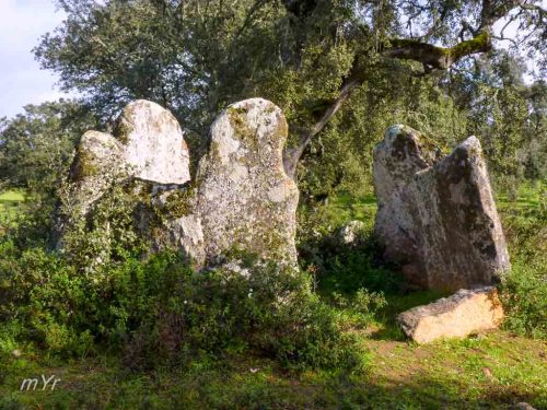 Anta-da-Murteira-de-Cima F2 Torre de Coelheiros Évora Alentejo