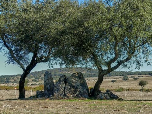 Anta da Vale de Butinos F2 Alter do Chão Portalegre Alentejo