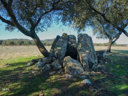 Anta da Vale de Butinos F3 Alter do Chão Portalegre Alentejo