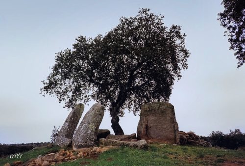 Anta-da vale rodrigo III Nossa Senhora da Tourega Évora Alentejo