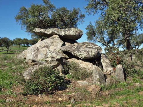 Anta das Dessouras o  Colmeeiro F2 Redondo Redondo Évora Alentejo