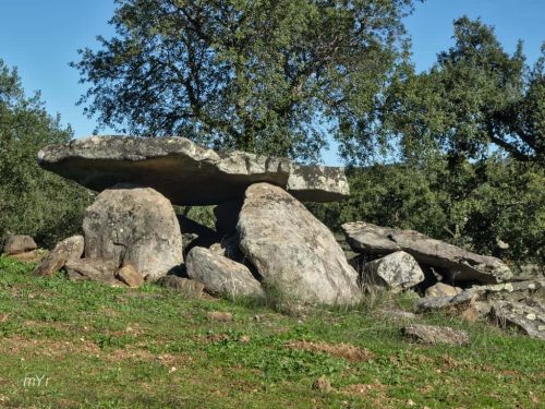 RAnta das Dessouras o  Colmeeiro F1 Redondo edondo Évora Alentejo
