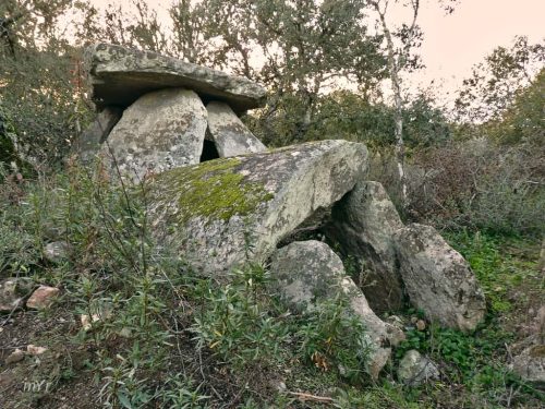 Anta de Almargem São Pedro Gafanhoeira Arraiolos Évora Alentejo