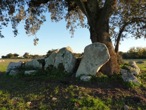 Anta de Folgos Arraiolos Arraiolos Évora Alentejo
