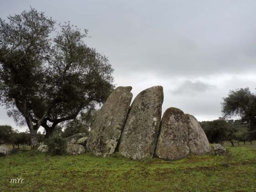 Anta de Freixo de cima 1 Torre de Coelheiros Évora Alentejo