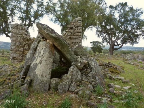 Anta de Joao Martins  Castelo de Vide Portalegre Alentejo