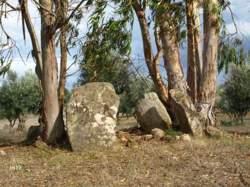 Anta de Medronhal Figueira e Barro Avis Portalegre Alentejo