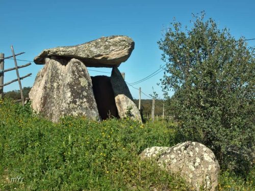 Anta de Murteira 2 São Gregório Arraiolos Évora Alentejo
