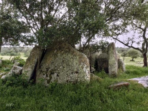 Anta de Murteira São Gregóri Arraiolos Évora Alentejo