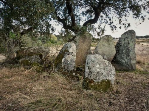 Anta de Paço Branco 1  Figueira e Barros Avis Portalegre Alentejo