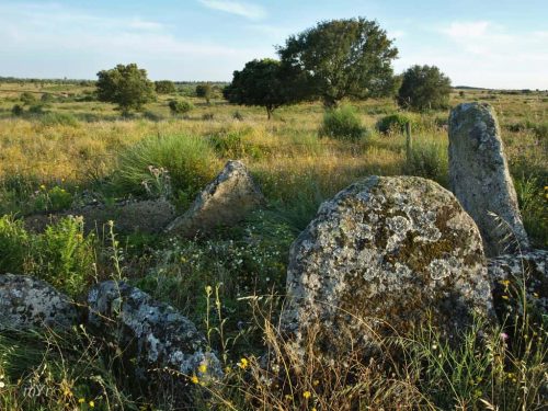 Anta de San Gens 2 Espírito Santo Nisa Portalegre Alentejo