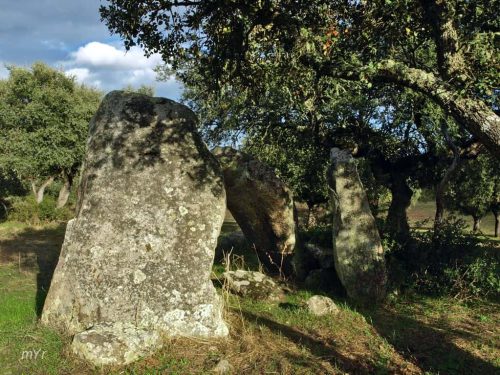 Anta de São Martinho 1 Figueira e Barros Avis Portalegre Alentejo