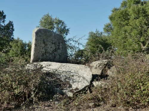 Anta de Saragonheiros 2 Reguengo e São Julião Portalegre Alentejo