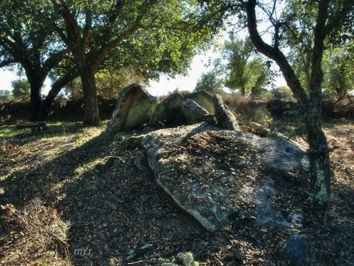 Anta de Saragonheiros 3 F2 Reguengo e São Julião Portalegre Alentejo