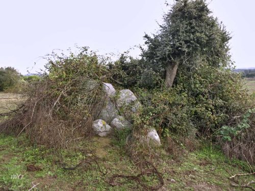 Anta de Testos 1 São Pedro Gafanhoeira Arraiolos Évora Alentejo