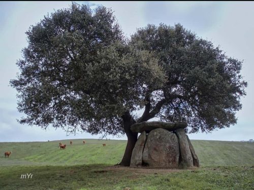 Anta do Crato Crato Portalegre Alentejo