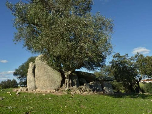Anta do Monte da Caeira 3 F2 Vimieiro  Arraiolos Évora Alentejo