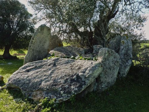 Anta do Monte da Caeira 5 Vimieiro Arraiolos Évora Alentejo