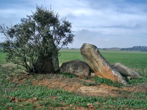 Anta do Monte da Ordem 4 Avis Portalegre Alentejo