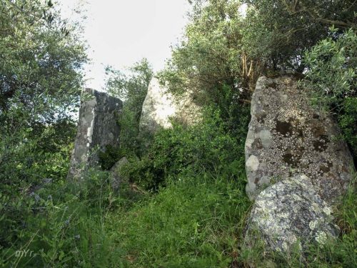 Reguengos de Monsaraz Évora Alentejo