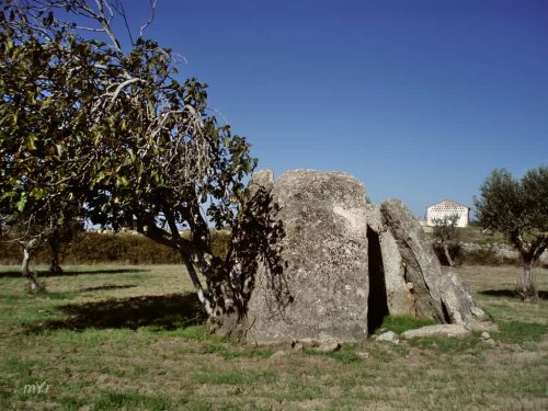 Anta do Vale Joaninho Alpalhão Nisa Portalegre Alentejo