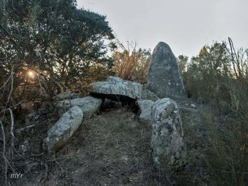 Anta dos Arneiros 1 Vaiamonte  Monforte Portalegre Alentejo