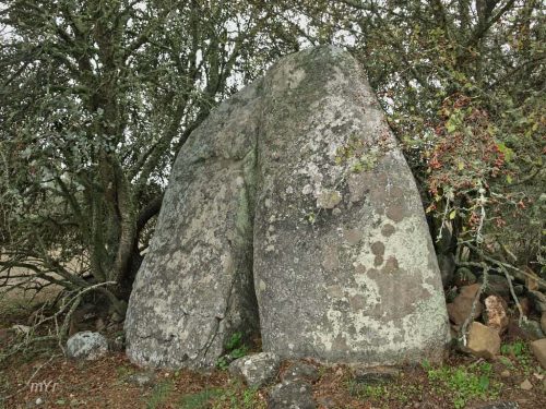 Anta dos Arneiros 2 Vaiamonte  Monforte Portalegre Alentejo