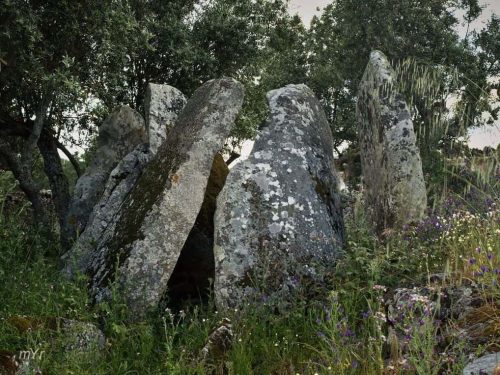 Anta dos Coureleiros 4 Santiago Maior  Castelo de Vide Portalegre Alentejo
