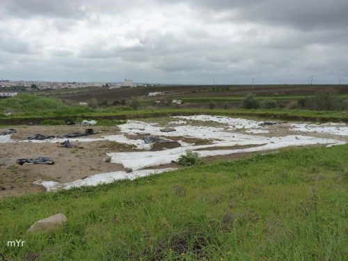 Complejo Arqueológico de Perdigões F3 Reguengoss de Monsaraz Ëvora  Alentejo