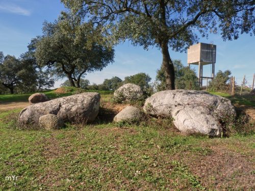 Cromeleque do Cuncos F1 Monte da Courela do Guita. Montemor o Novo Évora Alentejo