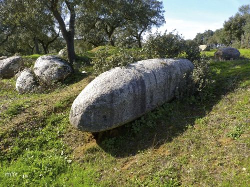 Cromeleque do Cuncos F2 Monte da Courela do Guita. Montemor o Novo Évora Alentejo