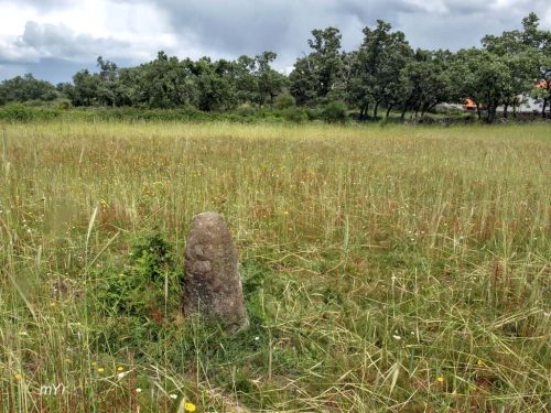 Menhir da Água da Cuba F1 Santo António das Areias Marvão Portalegre Alentejo